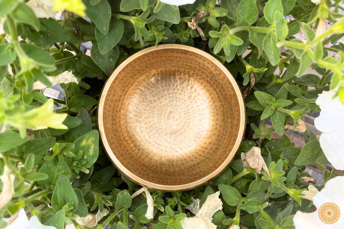 Tibetan Hand Hammered 6 inches singing Bowl for Sound Healing, Meditation, Yoga, and Chakra Balancing World Creation Crafts