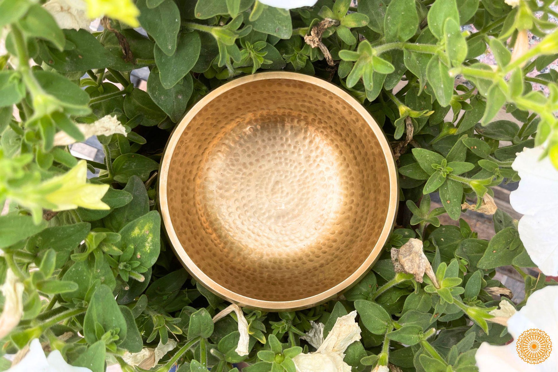 Tibetan Hand Hammered 6 inches singing Bowl for Sound Healing, Meditation, Yoga, and Chakra Balancing World Creation Crafts