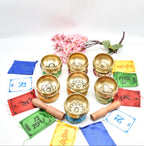 Chakra Singing Bowl Set: Tibetan Healing Bowls for Meditation