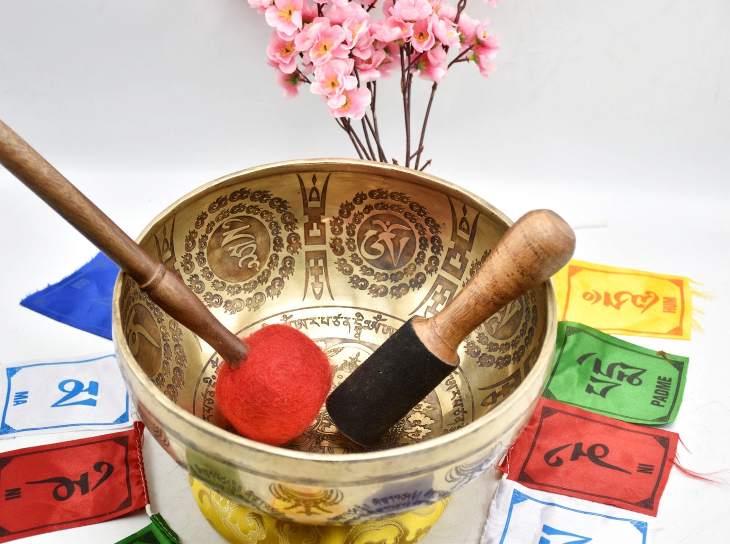 10 Inch Mantra Tibetan Singing Bowl: Handmade Sound Bath Bowl from Nepal