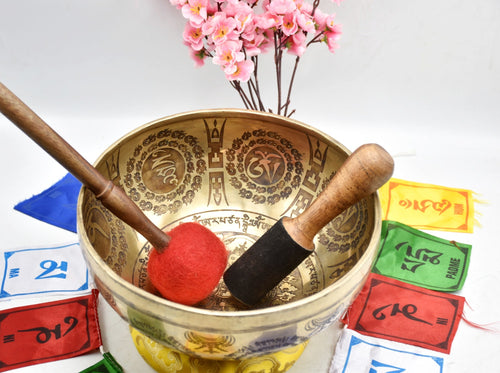 10 Inch Mantra Tibetan Singing Bowl: Handmade Sound Bath Bowl from Nepal
