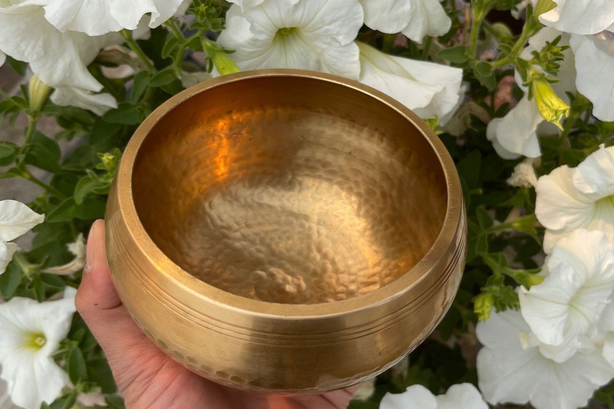 Hand Hammered Tibetan Singing Bowl 6 inch: Sound Bath, Yoga, Meditation