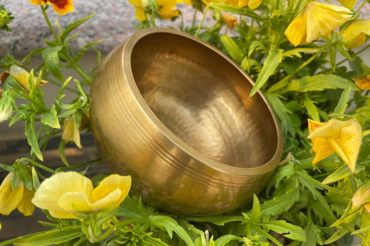 Hand Hammered Tibetan Singing Bowl 6 inch: Sound Bath, Yoga, Meditation