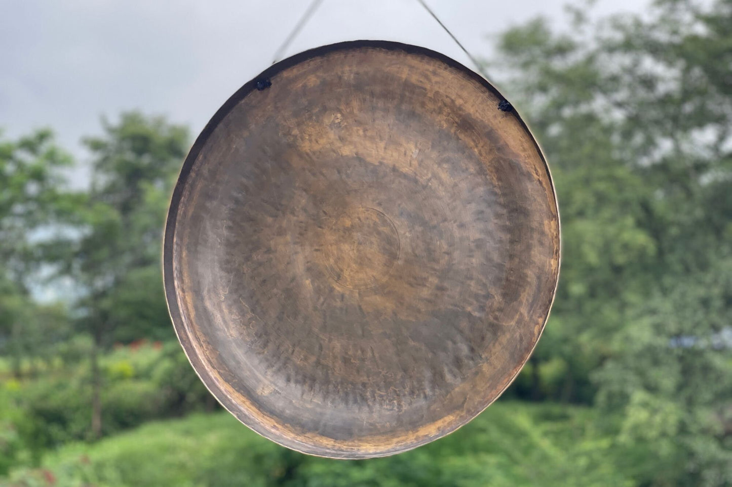 Handmade Tree of Life Gong: Tibetan Sound Healing Bell